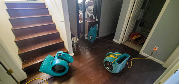  Crisfield, MD Water damage restoration Pros