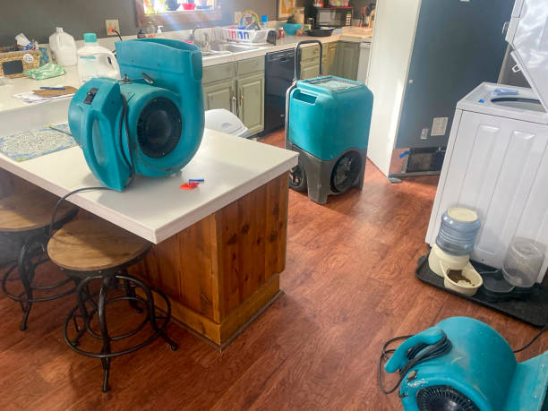 Best Water damage cleanup near me  in Crisfield, MD